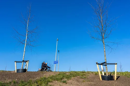 afbeelding vergroening in velsen 2
