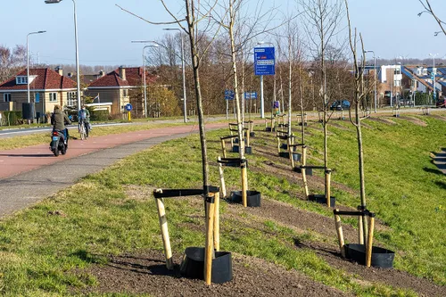 afbeelding vergroening in velsen 3