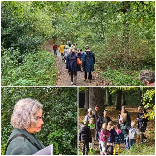 beleeftocht ingrid collage