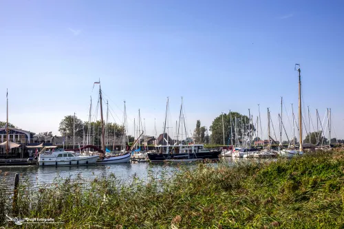 boten en gras