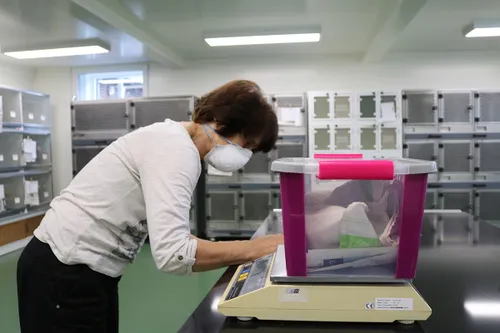 copyright vogelhospitaal haarlem en omgeving 1 kopieren