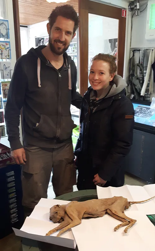 gemummificeerde kat 2017 2