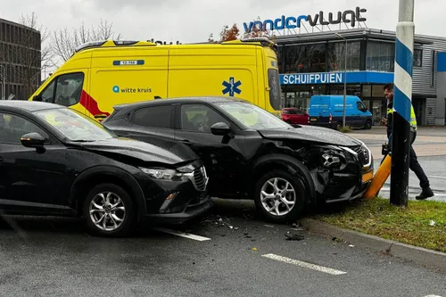 img 20231108 wa0067 kopieren