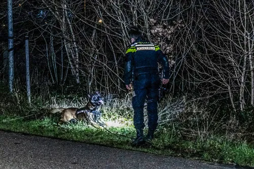 img 20240127 wa0018 copy 2048x1365 kopieren