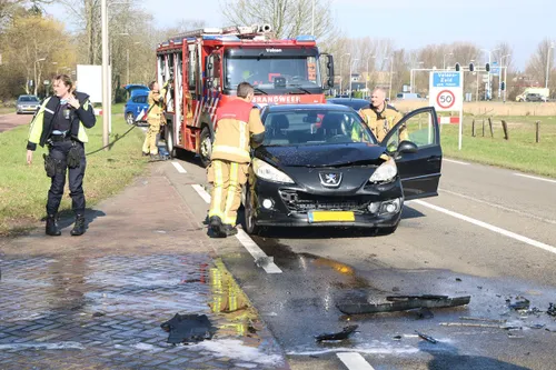 img 20240309 wa0038 kopieren