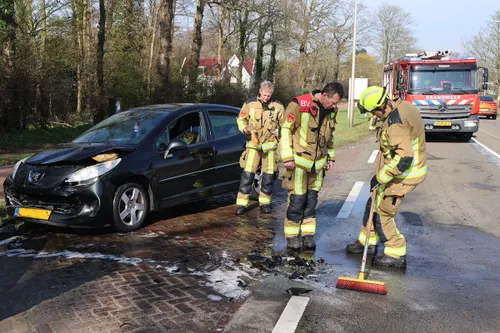 img 20240309 wa0040 kopieren