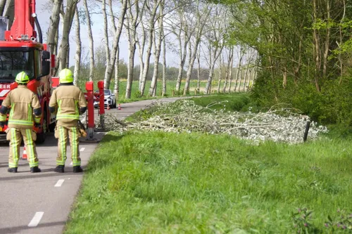 img 20240419 wa0118 copy 1166x777