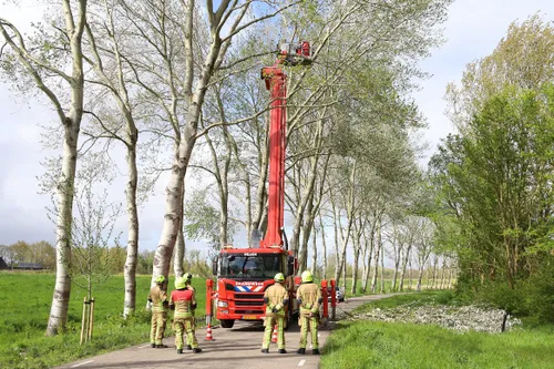 img 20240419 wa0122 copy 1166x777