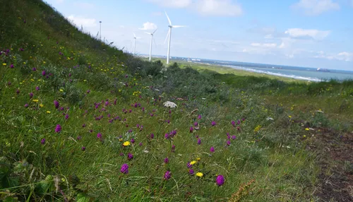 imgp8345 3 tata banner