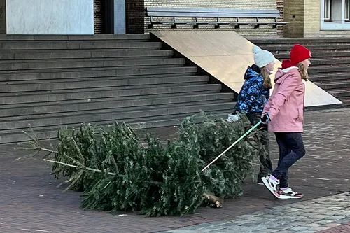 kerstbomeninzameling 2024 2