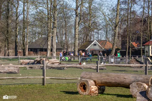 kinderboerderij gr 1