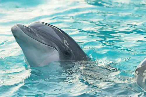 louan garcia xsq5ie5f498 unsplash