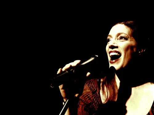 mirjam van dam zangeres