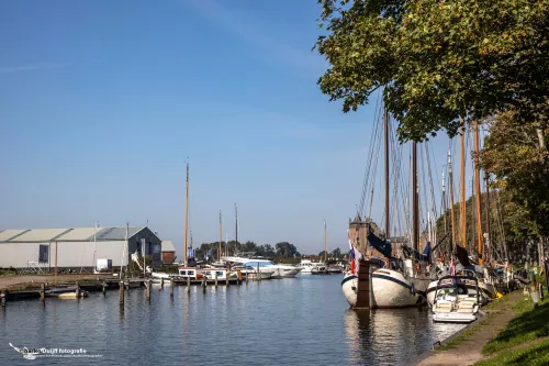 mooi d