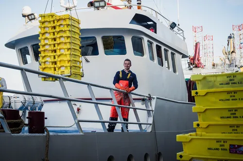 noordzeevis uit ijmuiden 3
