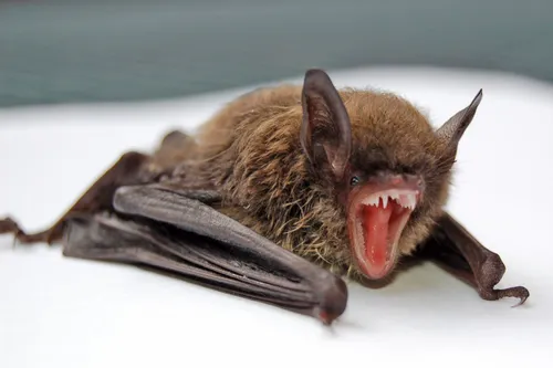 photo 1495741770155 e4137dcb83ec unsplash