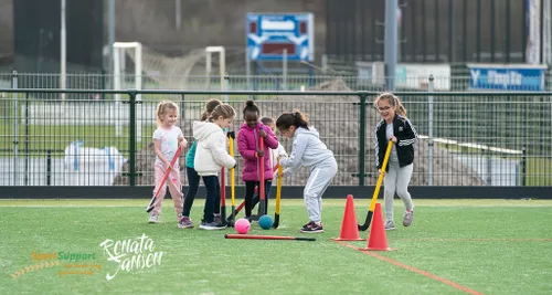 rj21 2 sps si ij 107471