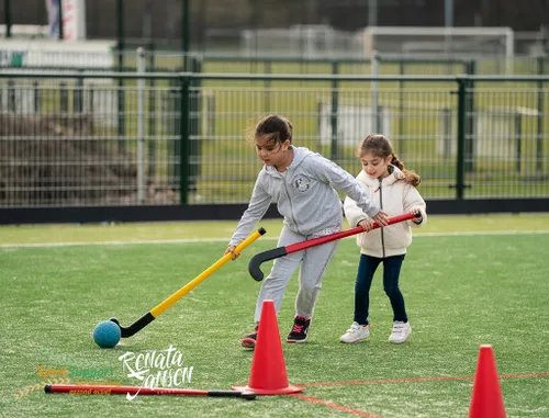 rj21 2 sps si ij 107482