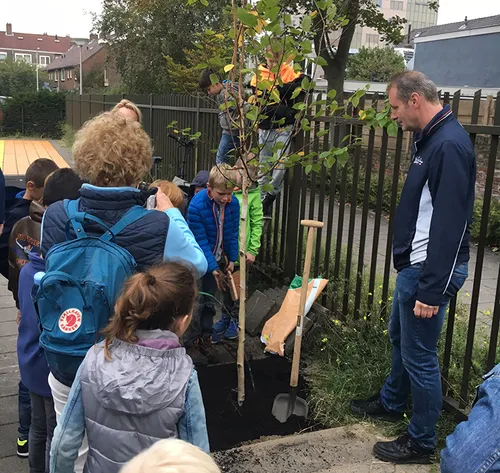 steenbreek tuin vol boomje planten boekanier 2