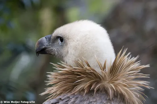 tumblr n06f7ykqnb1svvyvco1 1280