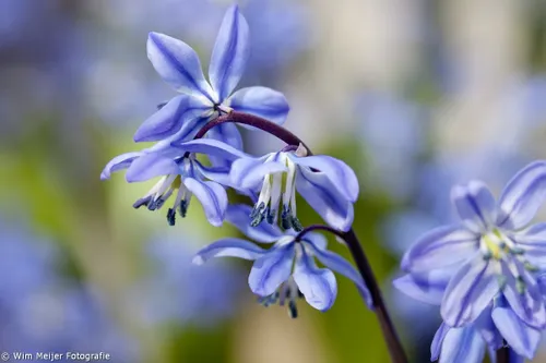 tumblr n451mrcnbg1svvyvco1 1280