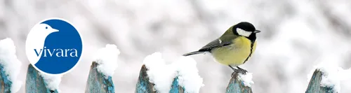 unnamed 2023 01 04t161459573