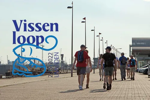 vissenloop ijmuiden 4