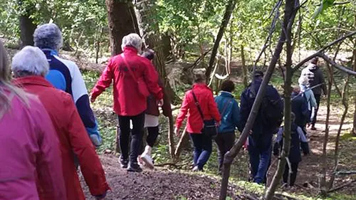 wandelen sportcoach velsen