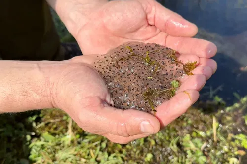 whatsapp image 2023 04 22 at 095856