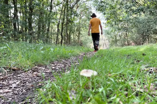 whatsapp image 2023 09 02 at 090710