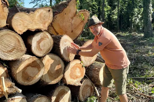 whatsapp image 2023 09 17 at 195229