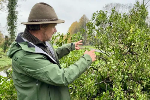 whatsapp image 2023 10 29 at 113803