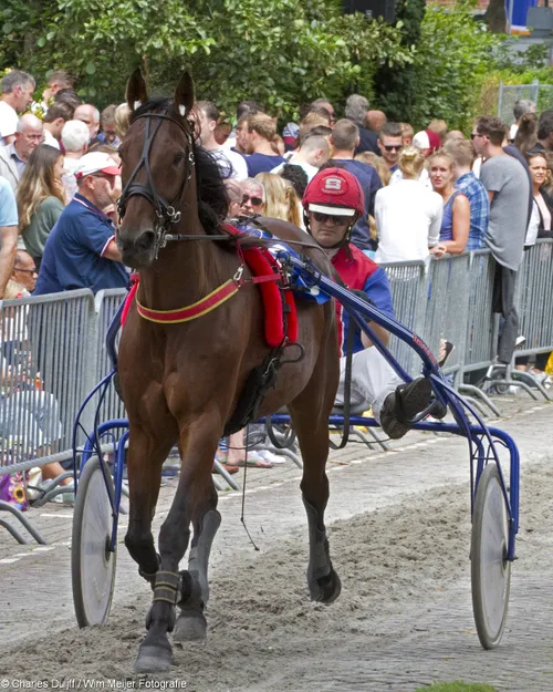 wim meijer fotografie img 00061