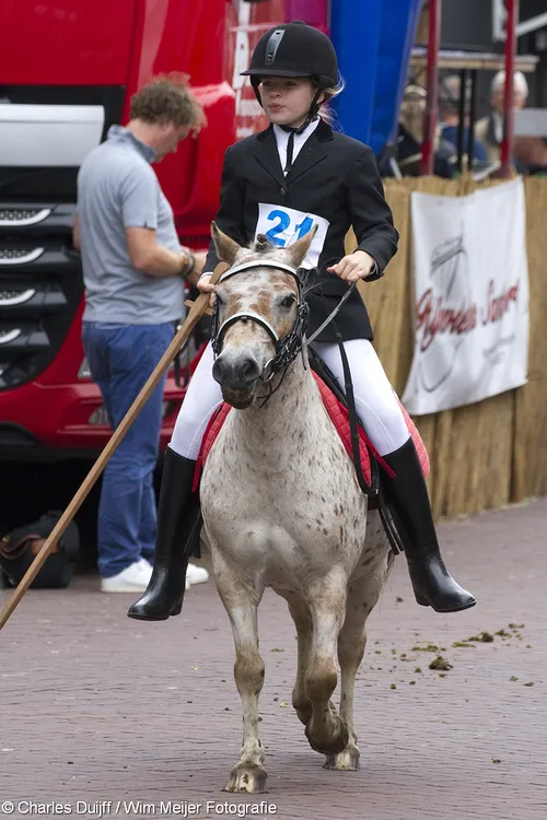 wim meijer fotografie img 0013