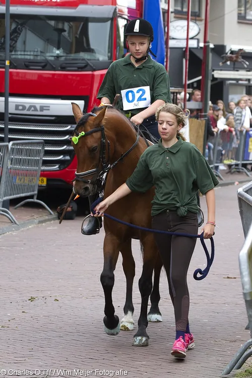 wim meijer fotografie img 0017