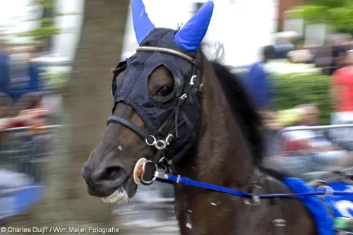 wim meijer fotografie img 00271