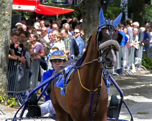 wim meijer fotografie img 00371