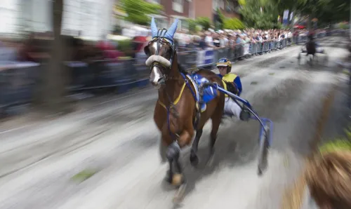 wim meijer fotografie img 0073 hoofdbanner