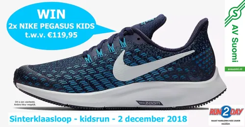 win nike pegasus kids