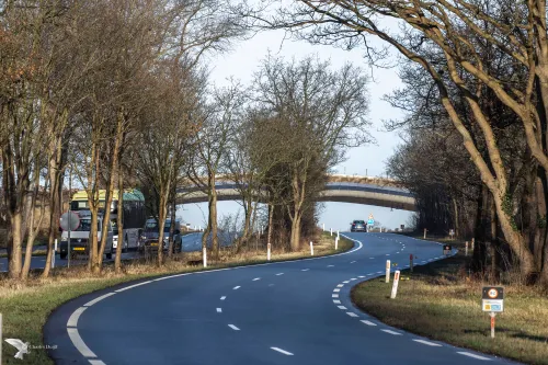 zeeweg natuurbrug 19 febr 21