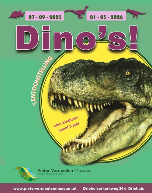 Affiche Dino's 5