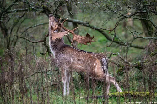 509435151_10231196555163255_2728836373341504888_n