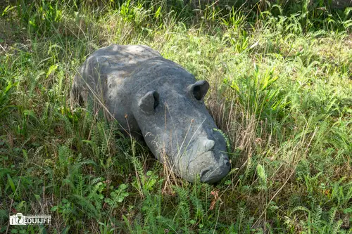 neushoorn