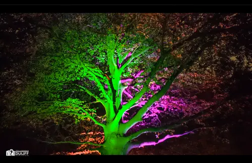 Green tree