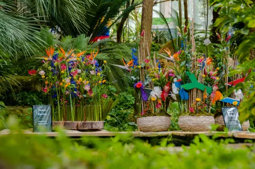 kasteeltuinenarcen examenwerken 01 1