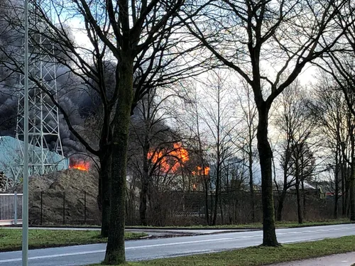 whatsapp image 2020 01 28 at 142916