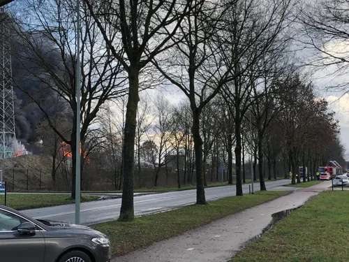 whatsapp image 2020 01 28 at 143057