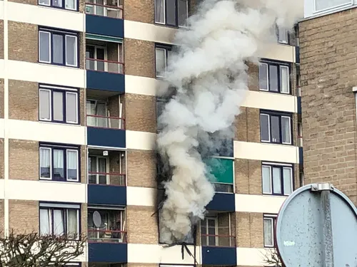 whatsapp image 2020 03 06 at 162412