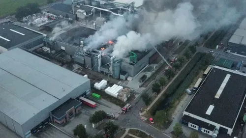 whatsapp image 2022 08 17 at 93327 pm