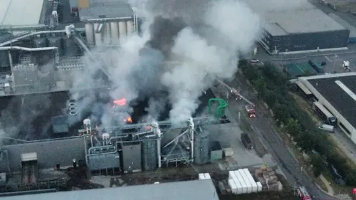 whatsapp image 2022 08 17 at 93337 pm